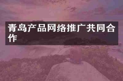 青岛产品网络推广共同合作