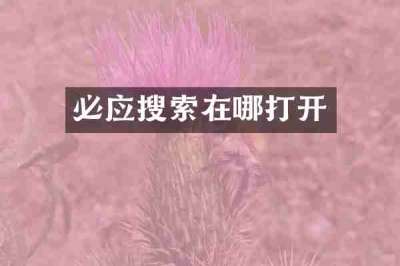 必应搜索在哪打开