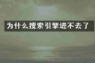 为什么搜索引擎进不去了