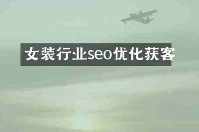女装行业seo优化获客