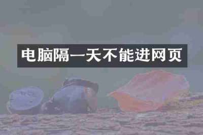 电脑隔一天不能进网页