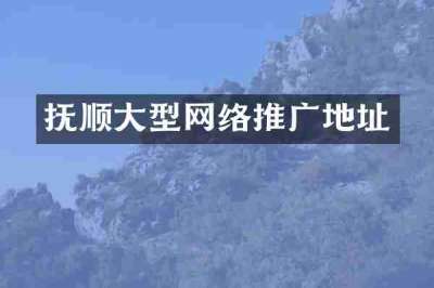 抚顺大型网络推广地址