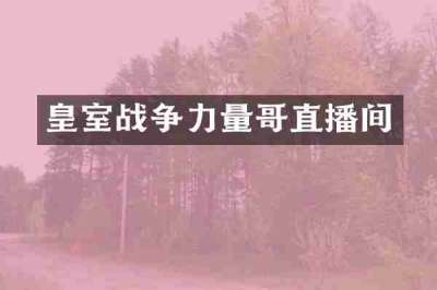 皇室战争力量哥直播间