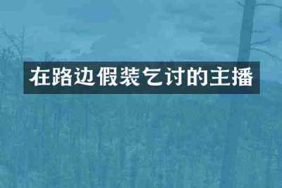 在路边假装乞讨的主播