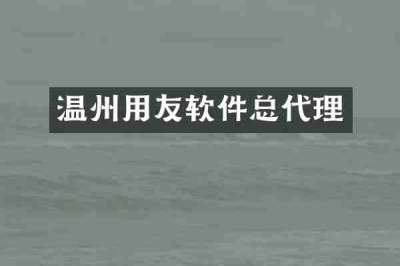 温州用友软件总代理