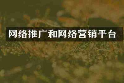 网络推广和网络营销平台