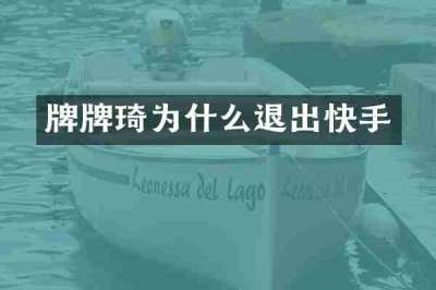 牌牌琦为什么退出快手