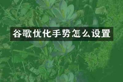 谷歌优化手势怎么设置