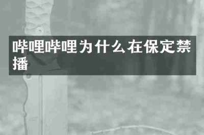 哔哩哔哩为什么在保定禁播