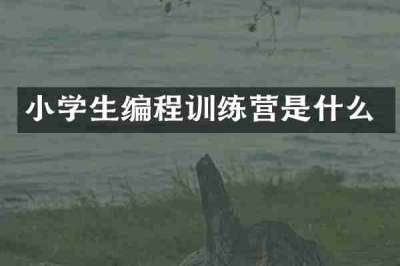 小学生编程训练营是什么