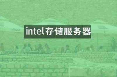 intel存储服务器