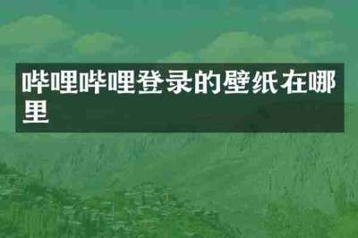 哔哩哔哩登录的壁纸在哪里