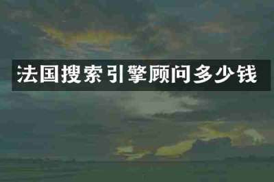 法国搜索引擎顾问多少钱