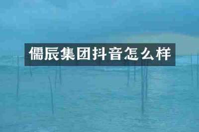 儒辰集团抖音怎么样