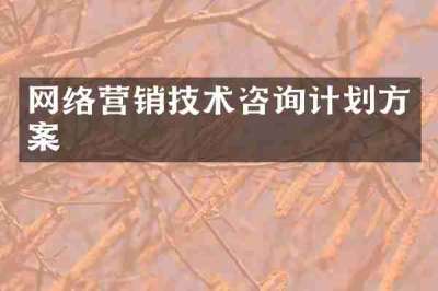 网络营销技术咨询计划方案