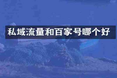 私域流量和百家号哪个好