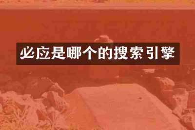 必应是哪个的搜索引擎