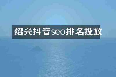 绍兴抖音seo排名投放