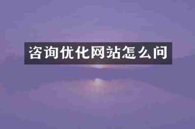 咨询优化网站怎么问
