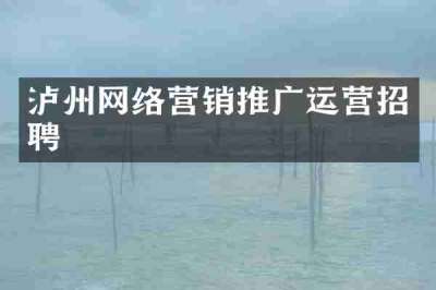 泸州网络营销推广运营招聘