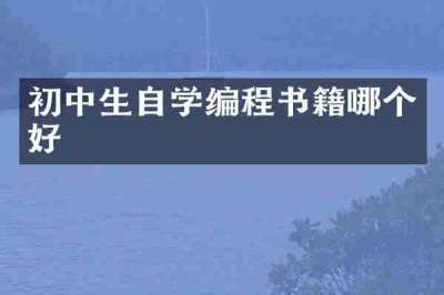 初中生自学编程书籍哪个好