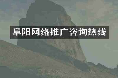阜阳网络推广咨询热线