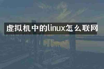 虚拟机中的linux怎么联网