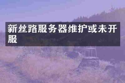 新丝路服务器维护或未开服