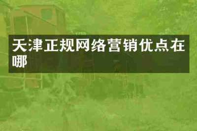 天津正规网络营销优点在哪