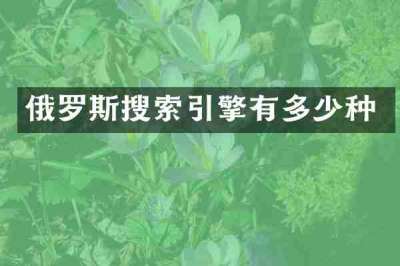 俄罗斯搜索引擎有多少种