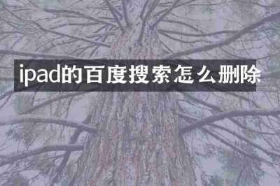 ipad的百度搜索怎么删除
