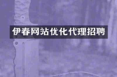 伊春网站优化代理招聘