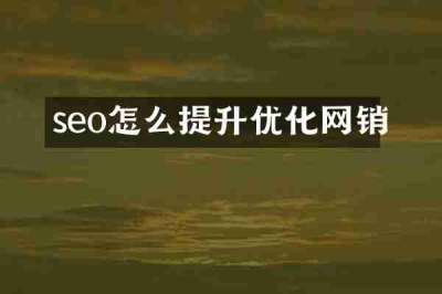 seo怎么提升优化网销
