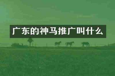 广东的神马推广叫什么