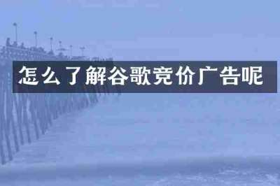 怎么了解谷歌竞价广告呢