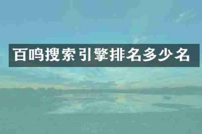 百鸣搜索引擎排名多少名