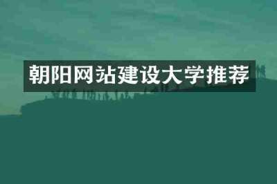 朝阳网站建设大学推荐