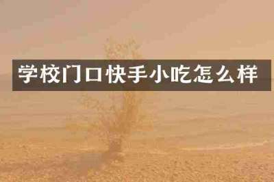 学校门口快手小吃怎么样