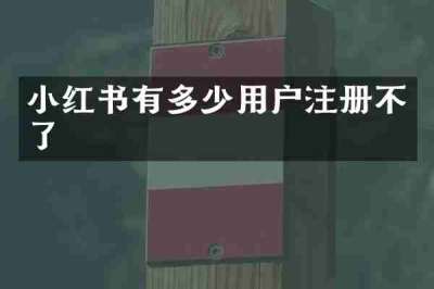 小红书有多少用户注册不了