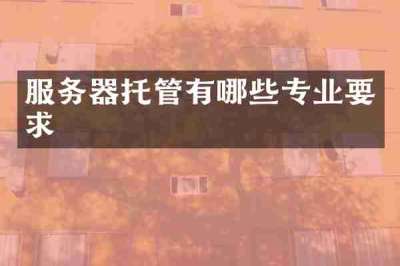 服务器托管有哪些专业要求