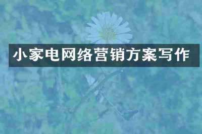 小家电网络营销方案写作