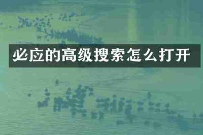 必应的高级搜索怎么打开