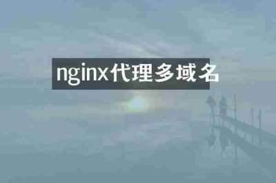 nginx代理多域名