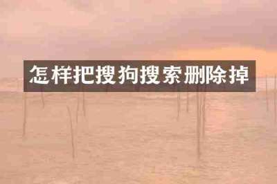 怎样把搜狗搜索删除掉