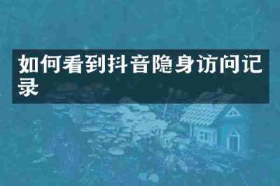 如何看到抖音隐身访问记录