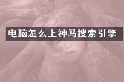 电脑怎么上神马搜索引擎