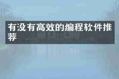 有没有高效的编程软件推荐
