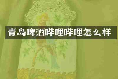 青岛啤酒哔哩哔哩怎么样