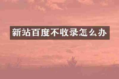 新站百度不收录怎么办