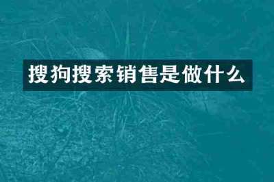 搜狗搜索销售是做什么